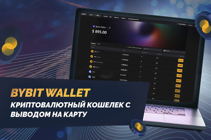 Bybit Wallet